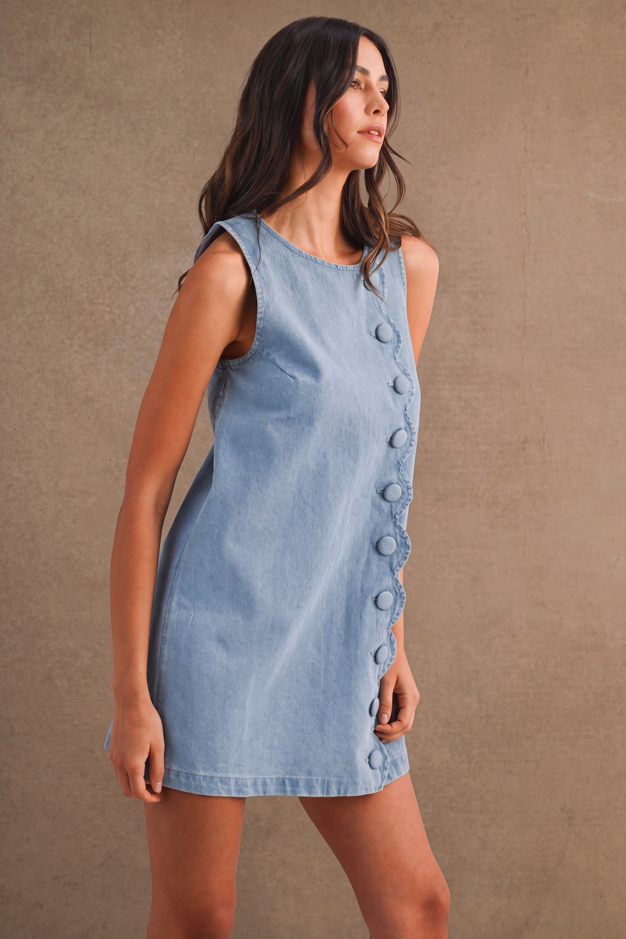 Denim Daisy Dress