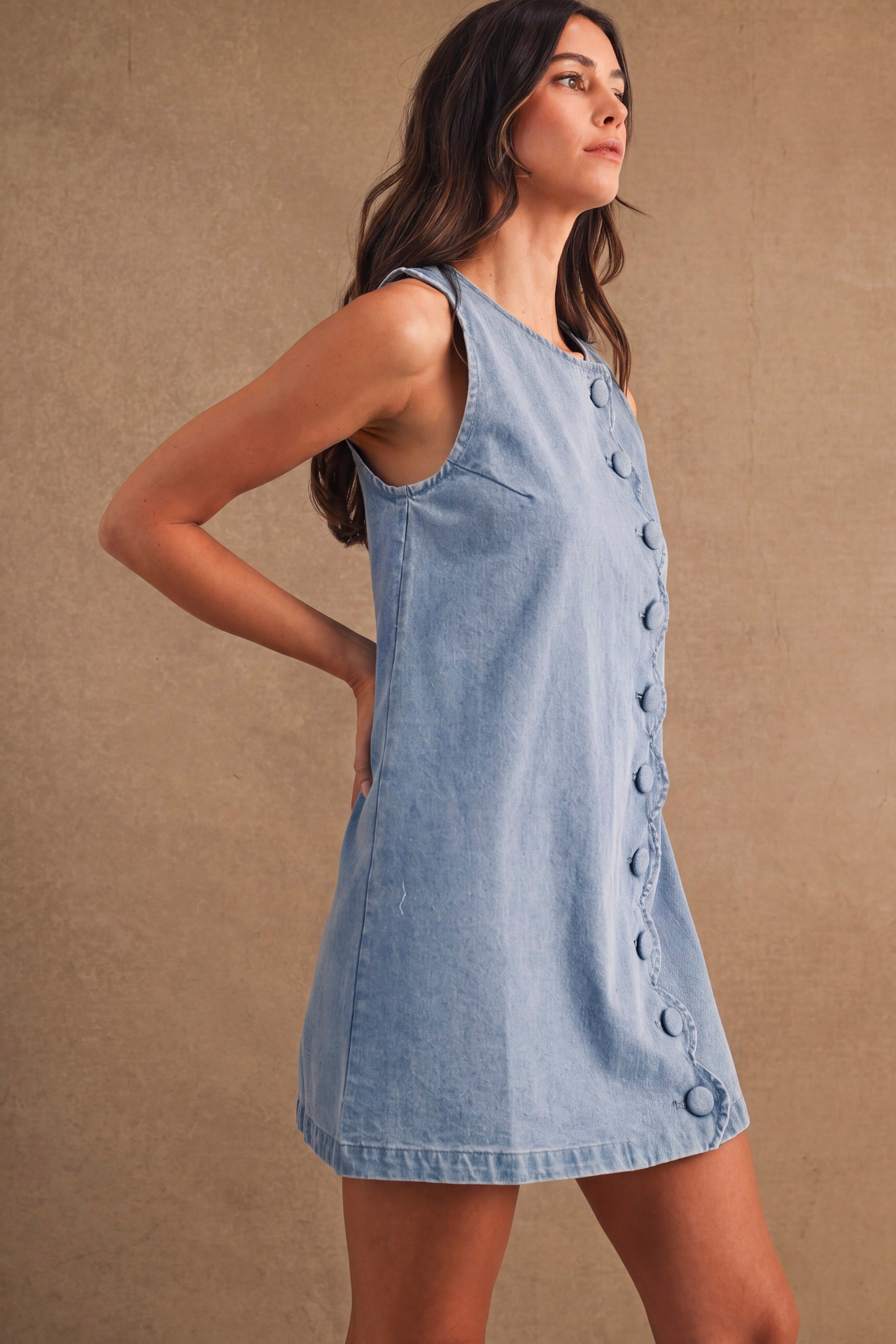 Denim Daisy Dress