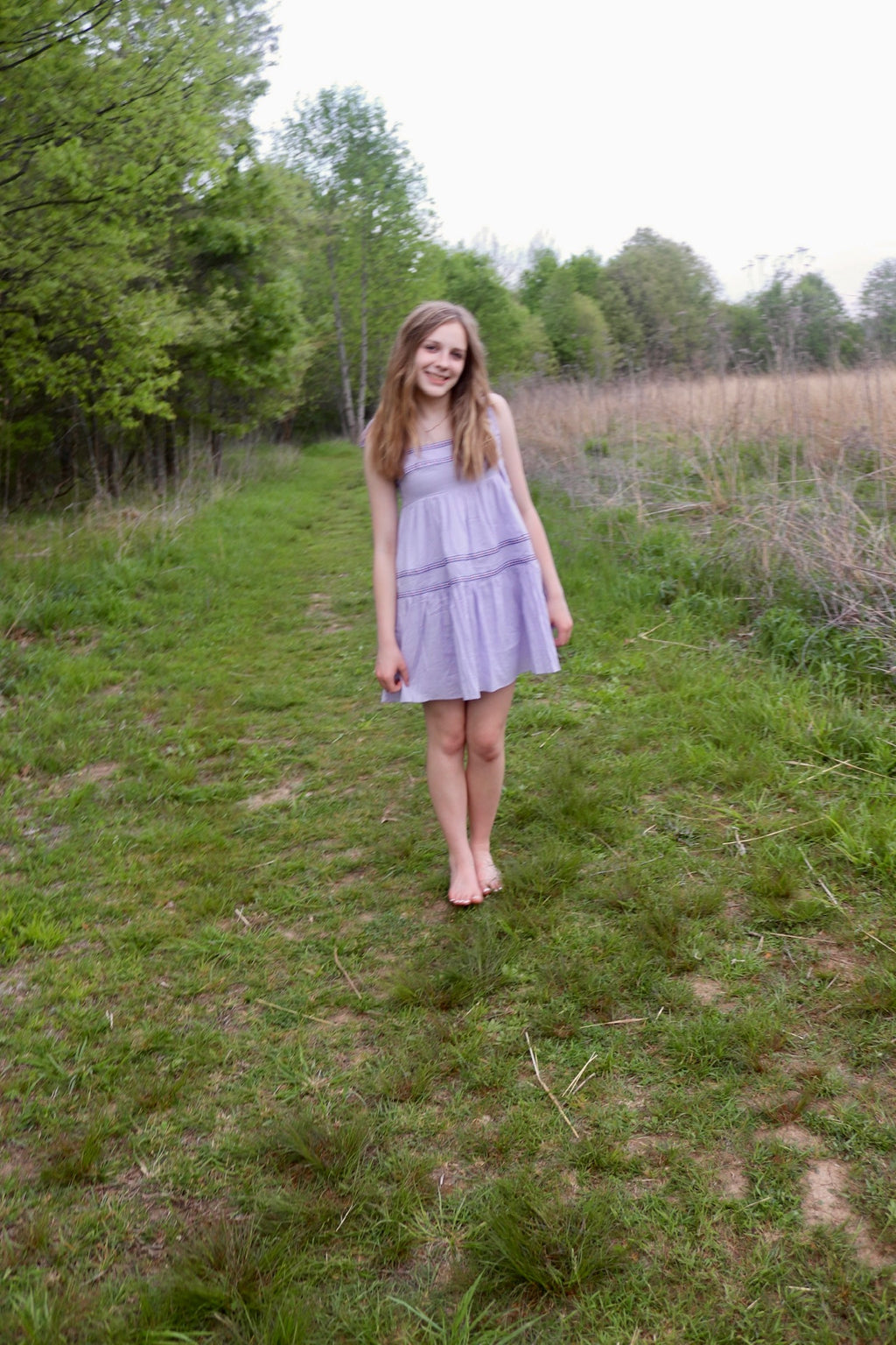 Lavender Fields Embroidered Dress