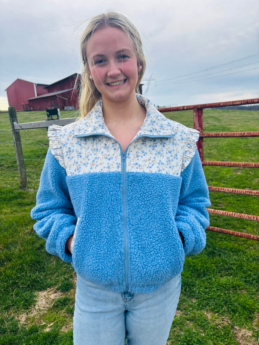 Delphinium Sherpa
